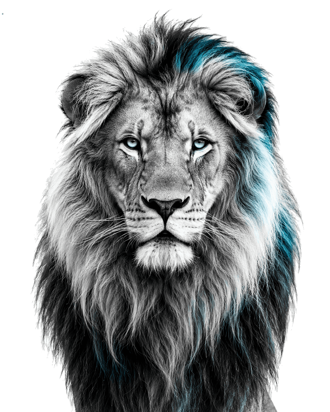 León con acento cyan, símbolo visual de LazaroCode Studio